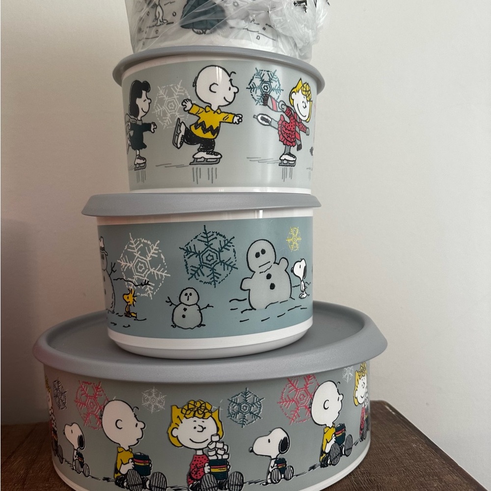 Peanuts Character Storage Containers